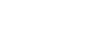 Expert reports
